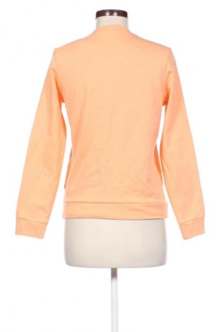 Damen Shirt Bpc Bonprix Collection, Größe M, Farbe Orange, Preis 9,72 €
