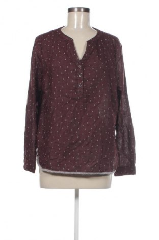 Damen Shirt Cecil, Größe S, Farbe Mehrfarbig, Preis 23,99 €