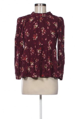 Damen Shirt Dorothy Perkins, Größe M, Farbe Mehrfarbig, Preis 13,80 €