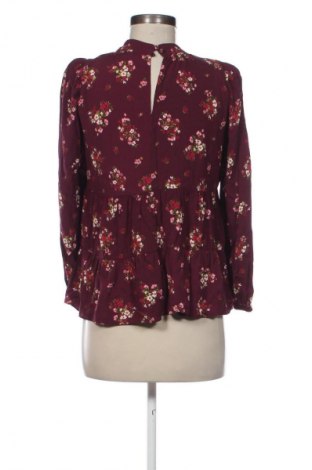 Damen Shirt Dorothy Perkins, Größe M, Farbe Mehrfarbig, Preis 13,80 €