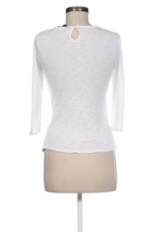 Bluzka damska Dorothy Perkins, Rozmiar S, Kolor Biały, Cena 62,00 zł