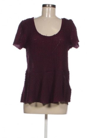 Damen Shirt Dorothy Perkins, Größe XL, Farbe Lila, Preis 15,99 €