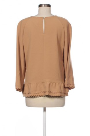 Damen Shirt Due Amanti, Größe M, Farbe Braun, Preis € 21,99