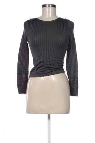 Damen Shirt Emilio Cavallini, Größe M, Farbe Grau, Preis € 17,39