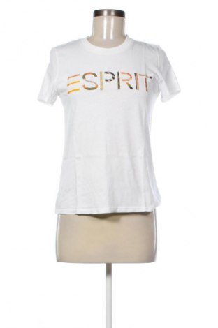 Damen Shirt Esprit, Größe S, Farbe Mehrfarbig, Preis € 13,80