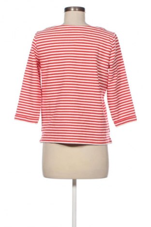 Damen Shirt Esprit, Größe S, Farbe Mehrfarbig, Preis € 23,99