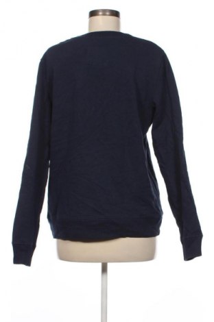Damen Shirt Hollister, Größe M, Farbe Blau, Preis € 18,99