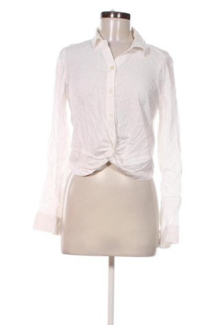 Damen Shirt Hollister, Größe S, Farbe Weiß, Preis 23,99 €