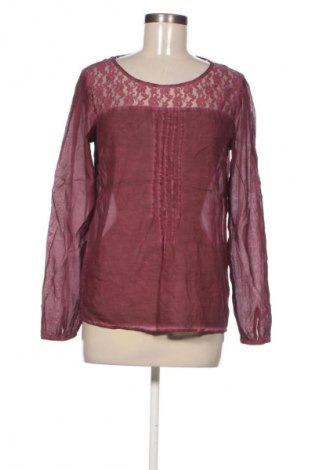 Damen Shirt Saint Tropez, Größe M, Farbe Mehrfarbig, Preis € 23,99