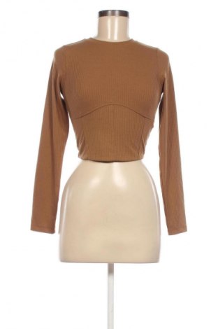 Damen Shirt Sinsay, Größe XS, Farbe Braun, Preis € 9,72