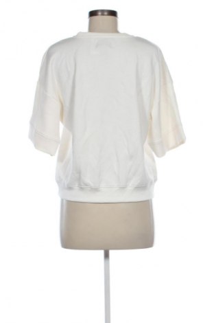 Damen Shirt Up 2 Fashion, Größe L, Farbe Ecru, Preis 10,99 €