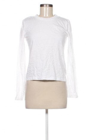 Damen Shirt Zara, Größe S, Farbe Weiß, Preis € 18,99