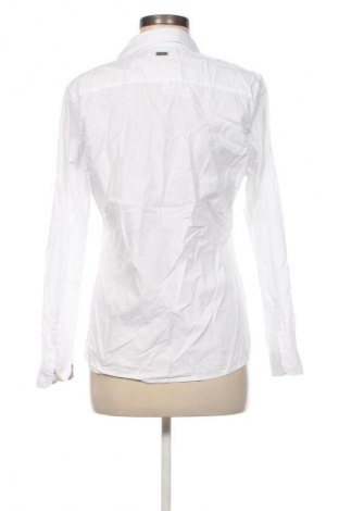 Damenbluse Barbour, Größe M, Farbe Weiß, Preis 56,99 €