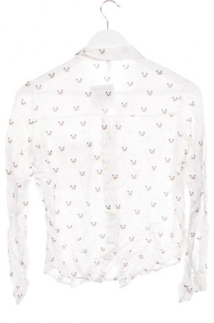 Damenbluse Bershka, Größe XS, Farbe Weiß, Preis € 17,99
