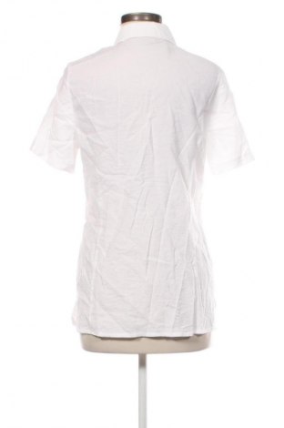 Damenbluse Canda, Größe M, Farbe Weiß, Preis 13,00 €