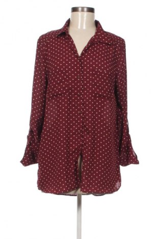 Damenbluse Colloseum, Größe L, Farbe Mehrfarbig, Preis € 17,99