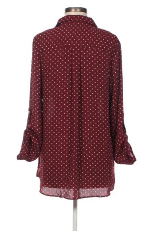 Damenbluse Colloseum, Größe L, Farbe Mehrfarbig, Preis € 17,99