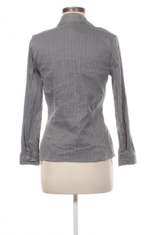 Damenbluse Damart, Größe M, Farbe Mehrfarbig, Preis 17,99 €