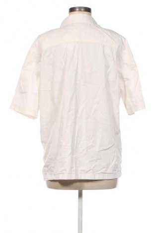 Damenbluse Dickies, Größe M, Farbe Ecru, Preis € 17,30