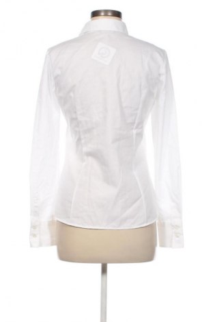 Damenbluse Esmara, Größe S, Farbe Weiß, Preis € 13,99