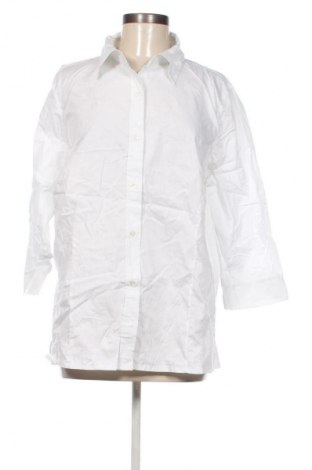 Damenbluse Fair Lady, Größe XXL, Farbe Weiß, Preis € 17,99