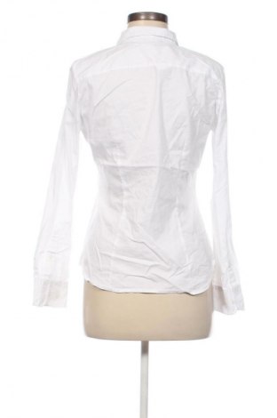 Damenbluse H&M, Größe M, Farbe Weiß, Preis € 17,99