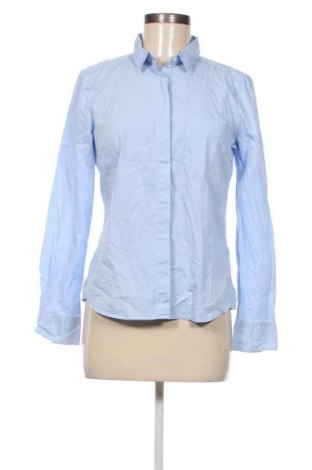 Damenbluse H&M, Größe L, Farbe Blau, Preis 13,00 €