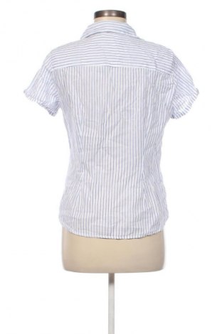 Damenbluse H&M L.O.G.G., Größe L, Farbe Mehrfarbig, Preis 12,99 €