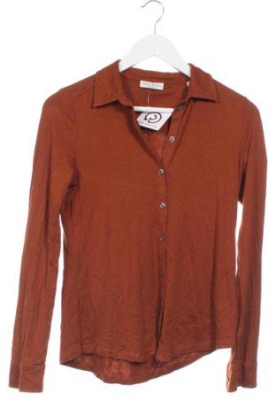 Damenbluse Marc O'Polo, Größe XS, Farbe Braun, Preis € 57,99