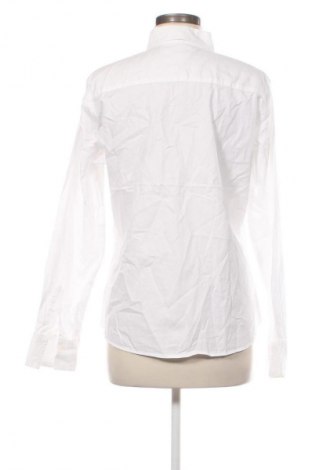 Damenbluse Marie Lund, Größe XL, Farbe Ecru, Preis € 28,99