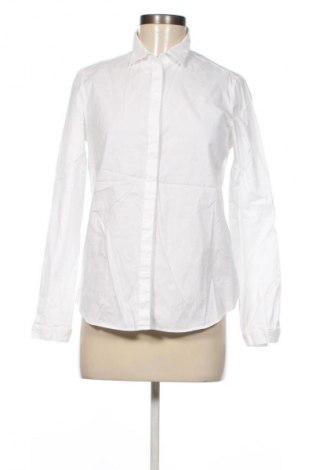 Damenbluse Massimo Dutti, Größe M, Farbe Weiß, Preis 36,99 €