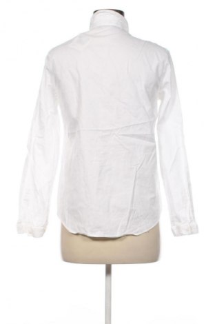 Damenbluse Massimo Dutti, Größe M, Farbe Weiß, Preis 36,99 €