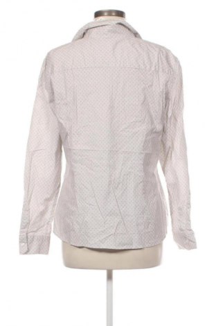 Damenbluse Montego, Größe XL, Farbe Mehrfarbig, Preis € 17,99