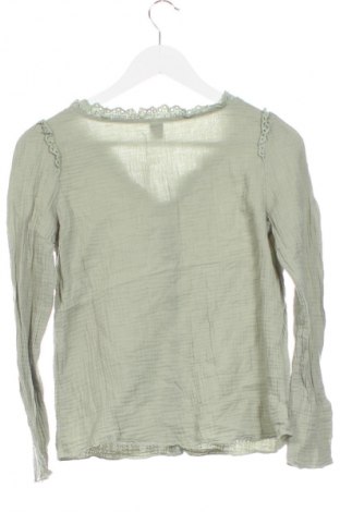 Damenbluse SHEIN, Größe XS, Farbe Grün, Preis € 17,99