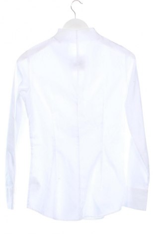 Damenbluse Seidensticker, Größe XS, Farbe Weiß, Preis € 64,99