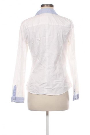 Damenbluse Zara, Größe L, Farbe Weiß, Preis 13,80 €
