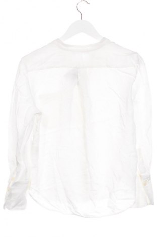 Damenbluse Zara, Größe XS, Farbe Weiß, Preis € 18,99