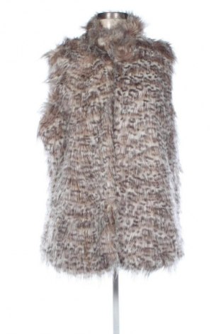 Vestă de femei Cotton Traders, Mărime XL, Culoare Multicolor, Preț 163,00 Lei