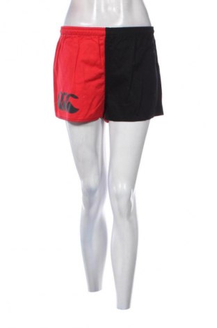 Damen Shorts Canterbury, Größe S, Farbe Mehrfarbig, Preis € 31,52