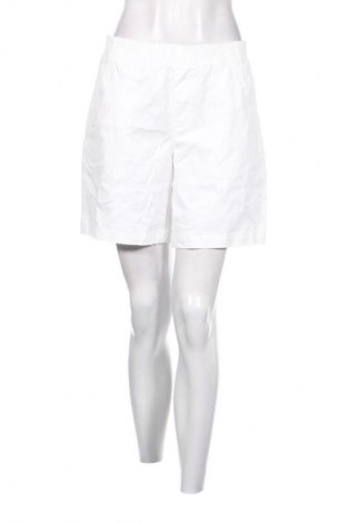 Damen Shorts Lands' End, Größe M, Farbe Weiß, Preis 14,99 €