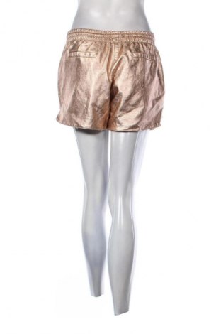 Damen Shorts Primadonna, Größe XL, Farbe Beige, Preis € 17,39