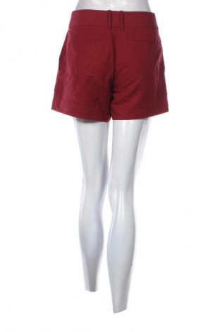 Damen Shorts Reiss, Größe S, Farbe Rot, Preis € 38,27