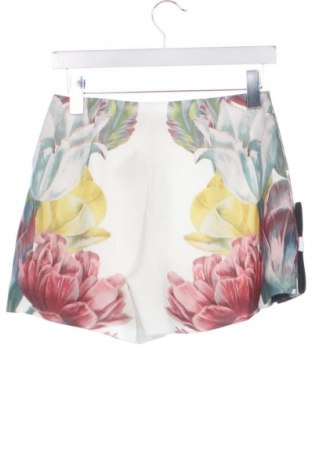 Damen Shorts Ted Baker, Größe XS, Farbe Mehrfarbig, Preis € 204,99
