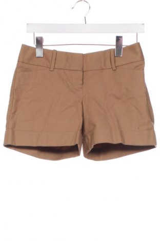 Damen Shorts The Limited, Größe S, Farbe Braun, Preis € 15,86