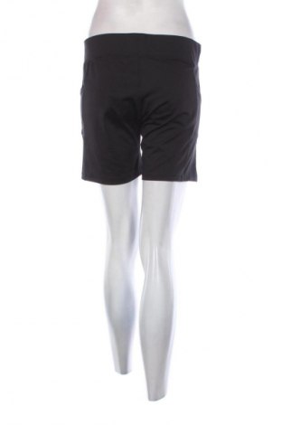 Damen Leggings Champion, Größe XL, Farbe Schwarz, Preis 18,99 €
