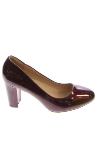 Damenschuhe Botinelli, Größe 40, Farbe Lila, Preis 28,49 €