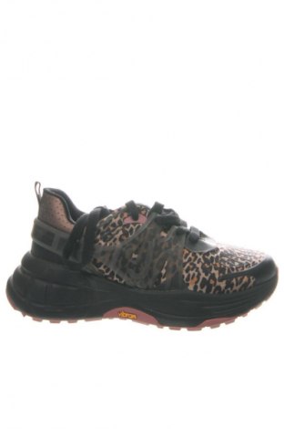 Damenschuhe Liu Jo, Größe 36, Farbe Mehrfarbig, Preis 55,75 €