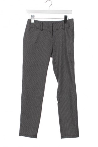 Damskie spodnie 7th Avenue, Rozmiar XS, Kolor Kolorowy, Cena 43,99 zł