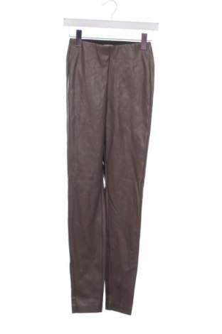 Damskie spodnie Costes, Rozmiar XS, Kolor Brązowy, Cena 134,99 zł