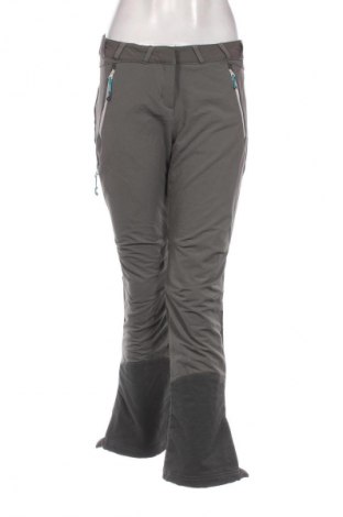 Dámske nohavice pre zimné športy Unbranded, Veľkosť M, Farba Sivá, Cena  49,57 €